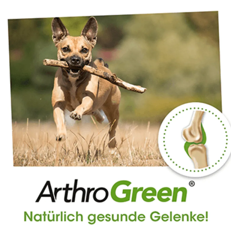 ArthroGreen Classic 25 g