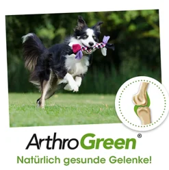 ArthroGreen Gelenkfit 70 g
