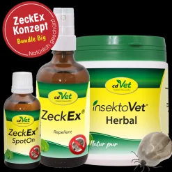Bundle ZeckEx-Konzept Big