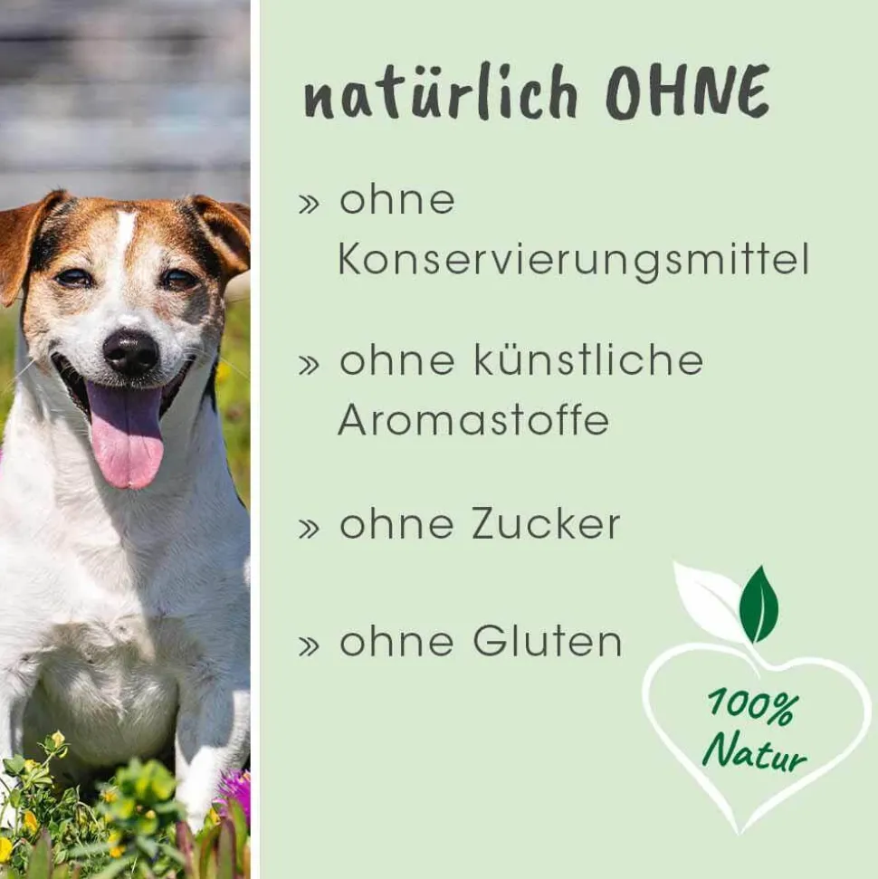 dentaVet Atemfrisch 40 g