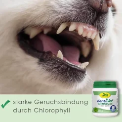 dentaVet Atemfrisch 40 g