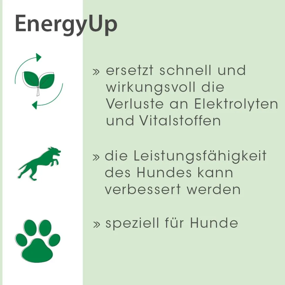EnergyUp 450 g