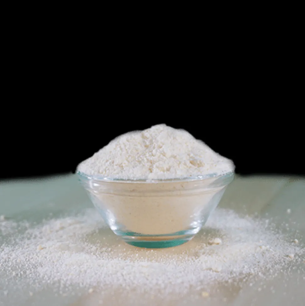 feliTATZ Kittenmilch 90 g