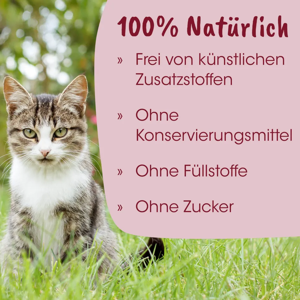 feliTATZ Kittenmilch 90 g