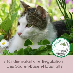 feliTATZ Magenschutz 25 g