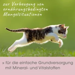 feliTATZ MineralKraft 60 g