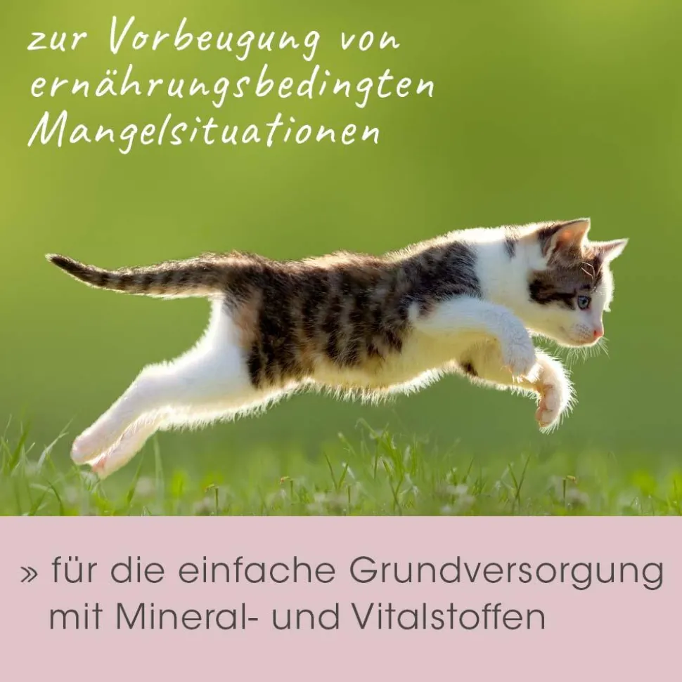 feliTATZ MineralKraft 60 g