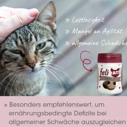 feliTATZ Senior 25 g