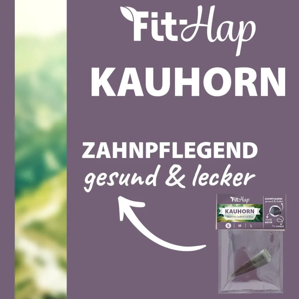 Fit-Hap Kauhorn S