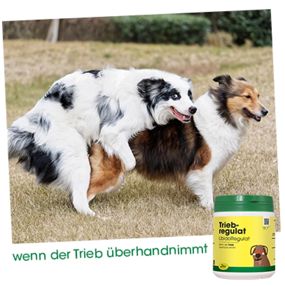 TriebRegulat 300 g
