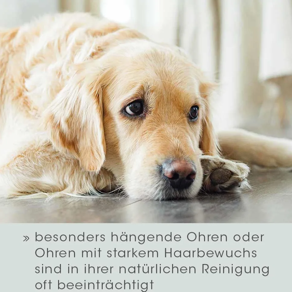 VeaVet Ohrenpflege mild 20 ml